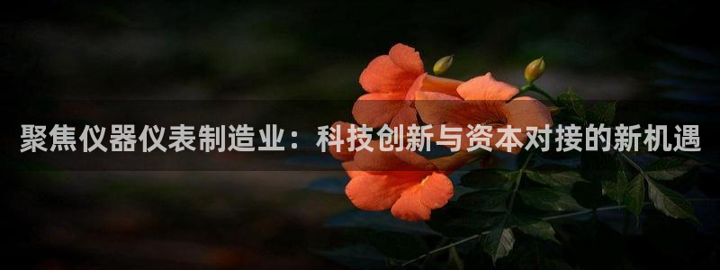 电子游艺CQ9试玩：聚焦仪器仪表制造业：科技创新与资本对接的