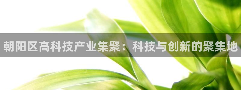 cq9电子游戏辅助：朝阳区高科技产业集聚：科技与创新的聚集地