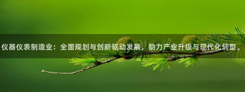 cq9传奇电子放水：仪器仪表制造业：全面规划与创新驱动发展，