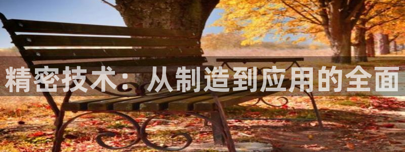 cq9电子8个灯：精密技术：从制造到应用的全面