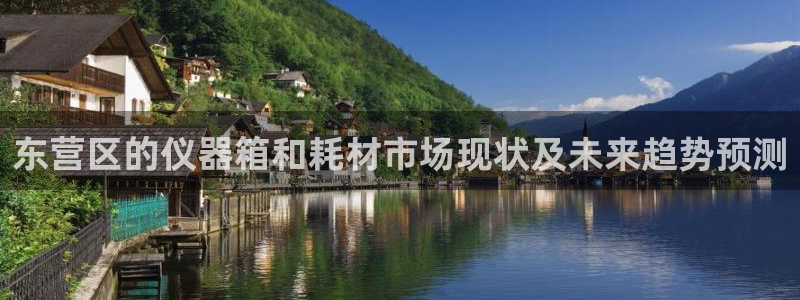 cq9电子游戏新澳门：东营区的仪器箱和耗材市场现状及未来趋势