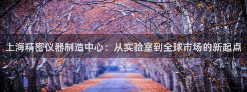 电子cq9攻略：上海精密仪器制造中心：从实验室到全球市场的新