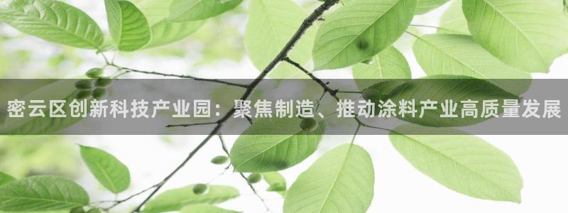 cq9电子接入：密云区创新科技产业园：聚焦制造、推动涂料产业