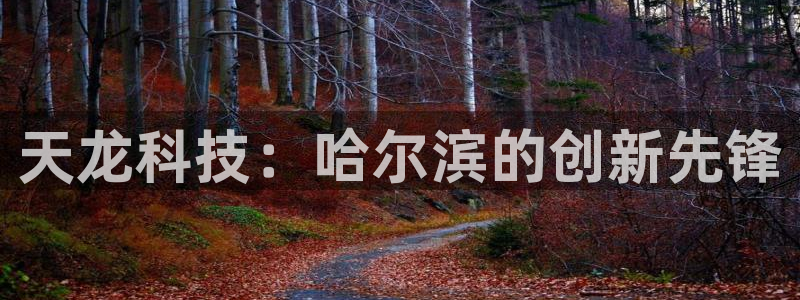 cq9电子爆分全集：天龙科技：哈尔滨的创新先锋