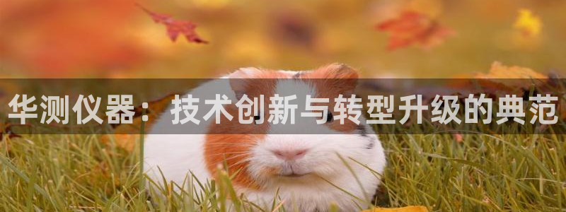 武圣电子cq9：华测仪器：技术创新与转型升级的典范