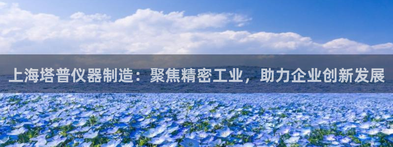 cq9电子怎么爆分：上海塔普仪器制造：聚焦精密工业，助力企业