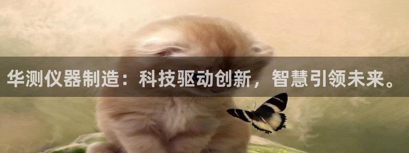 新威尼斯CQ9电子