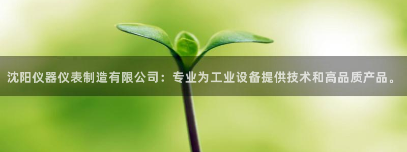 cq9电子属于哪个公司：沈阳仪器仪表制造有限公司：专业为工业