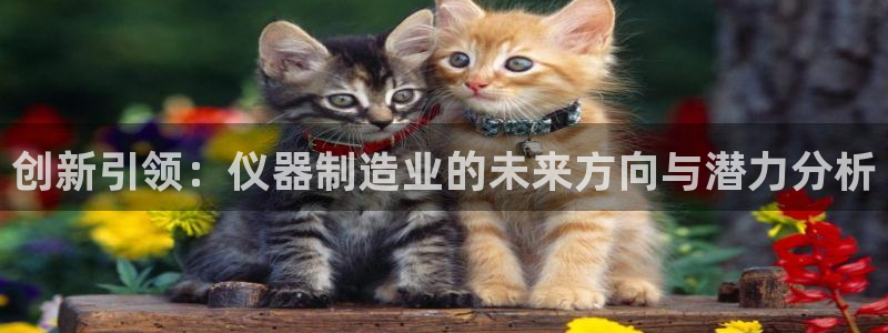 cq9电子维护到几点：创新引领：仪器制造业的未来方向与潜力分