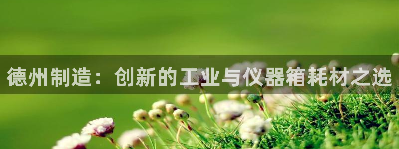 cq9电子模拟：德州制造：创新的工业与仪器箱耗材之选