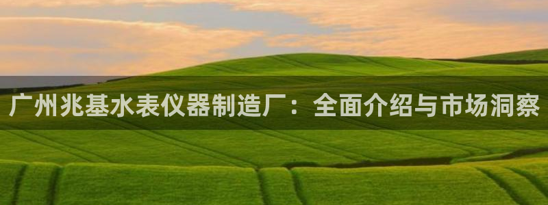 cq9电子是骗局：广州兆基水表仪器制造厂：全面介绍与市场洞察