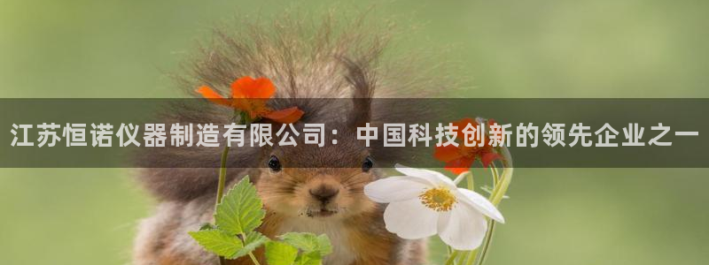 cq9传奇电子游戏：江苏恒诺仪器制造有限公司：中国科技创新的