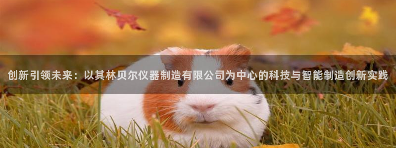 cq9电子是哪国的：创新引领未来：以其林贝尔仪器制造有限公司