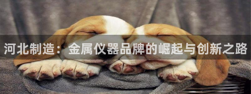 cq9电子游戏手机：河北制造：金属仪器品牌的崛起与创新之路