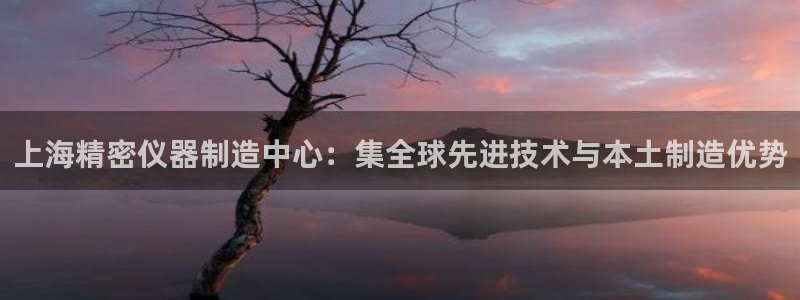 电子cq9骗局：上海精密仪器制造中心：集全球先进技术与本土制
