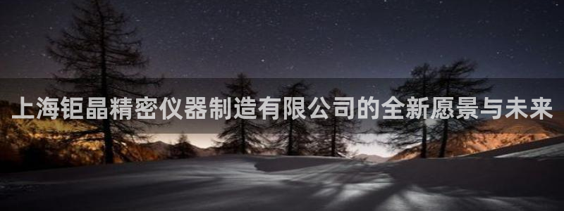 cq9电子传奇试玩：上海钜晶精密仪器制造有限公司的全新愿景与