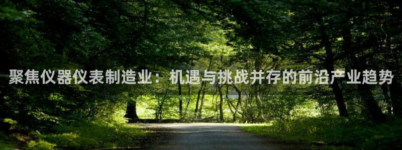 cq9电子平台秤厂家：聚焦仪器仪表制造业：机遇与挑战并存的前