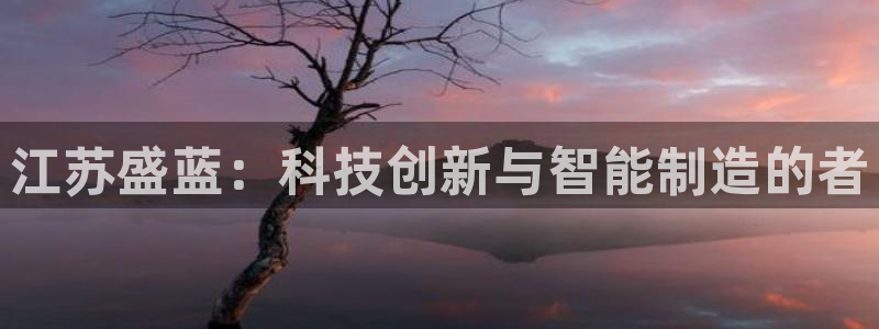 cq9电子漏洞：江苏盛蓝：科技创新与智能制造的者