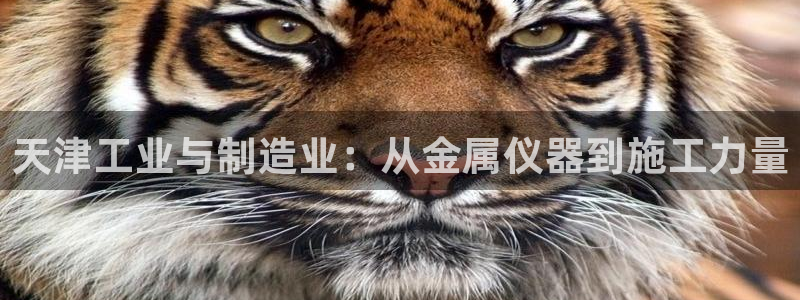 电子cq9幸运：天津工业与制造业：从金属仪器到施工力量