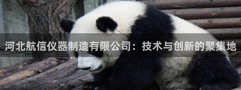 CQ9传奇电子与MG：河北航信仪器制造有限公司：技术与创新的