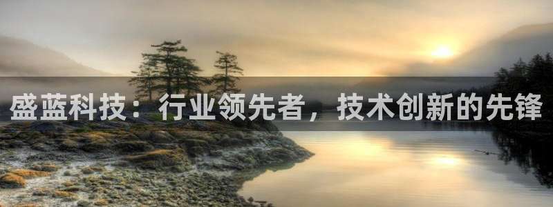 cq9电子武城：盛蓝科技：行业领先者，技术创新的先锋