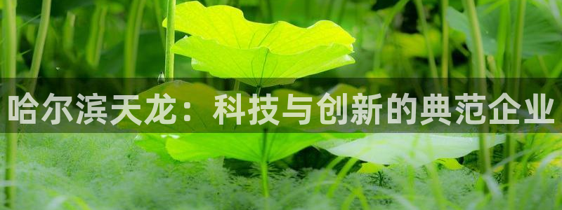 cq9电子捕鱼：哈尔滨天龙：科技与创新的典范企业