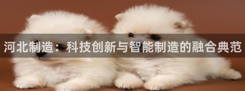 cq9电子单手跳：河北制造：科技创新与智能制造的融合典范