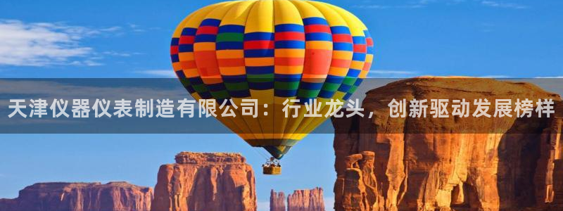 试玩电子cq9：天津仪器仪表制造有限公司：行业龙头，创新驱动