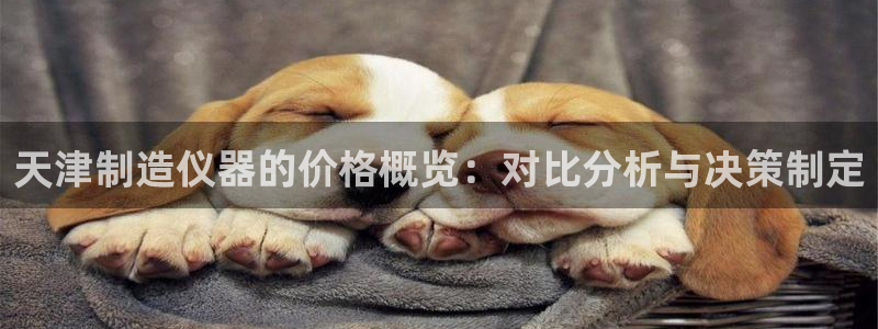 CQ9电子生cf66：天津制造仪器的价格概览：对比分析与决策