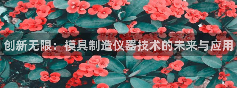 电子cq9视频：创新无限：模具制造仪器技术的未来与应用