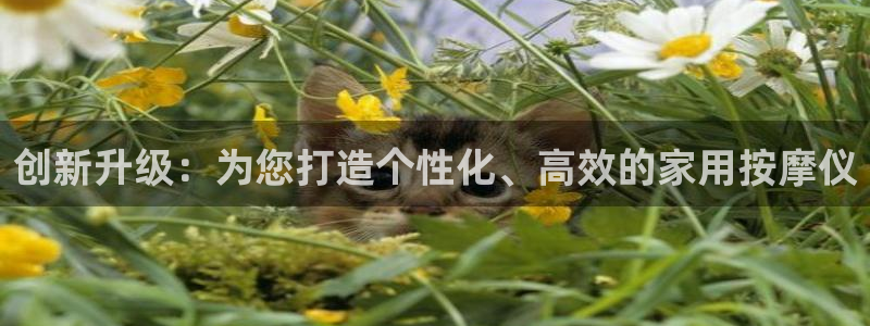 cq9电子森林舞会：创新升级：为您打造个性化、高效的家用按摩