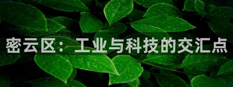 cq9电子舞满分大奖：密云区：工业与科技的交汇点