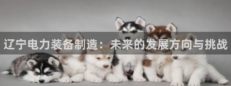 正规cq9电子平台：辽宁电力装备制造：未来的发展方向与挑战