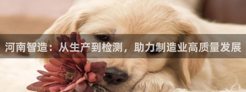 cq9电子注册app：河南智造：从生产到检测，助力制造业高质