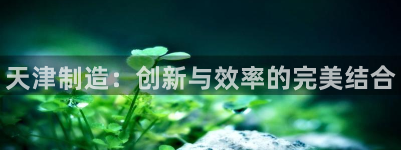 CQ9电子平台APP：天津制造：创新与效率的完美结合