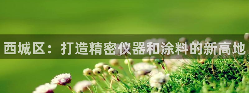 cq9电子怎么爆分：西城区：打造精密仪器和涂料的新高地