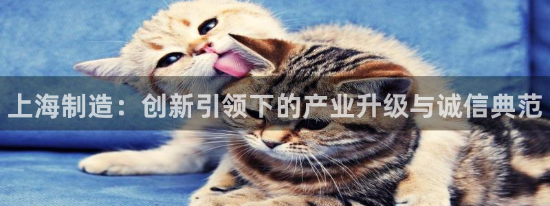cq9电子跳更高网址：上海制造：创新引领下的产业升级与诚信典