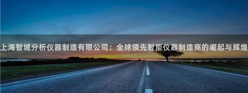 cq9电子宝石女王：上海智城分析仪器制造有限公司：全球领先智