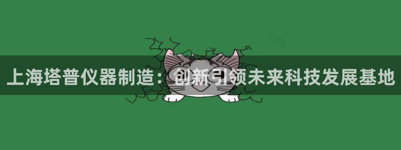 雷神电子cq9：上海塔普仪器制造：创新引领未来科技发展基地