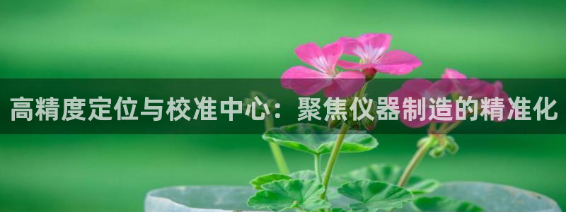 CQ9电子大奖视频在线：高精度定位与校准中心：聚焦仪器制造的
