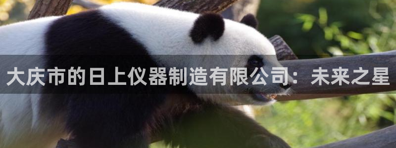 cq9电子血之吻：大庆市的日上仪器制造有限公司：未来之星