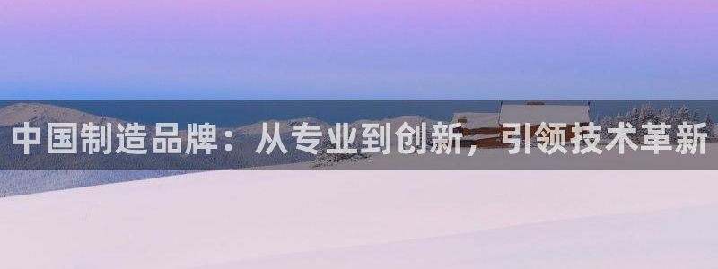 电子cq9金鲨：中国制造品牌：从专业到创新，引领技术革新