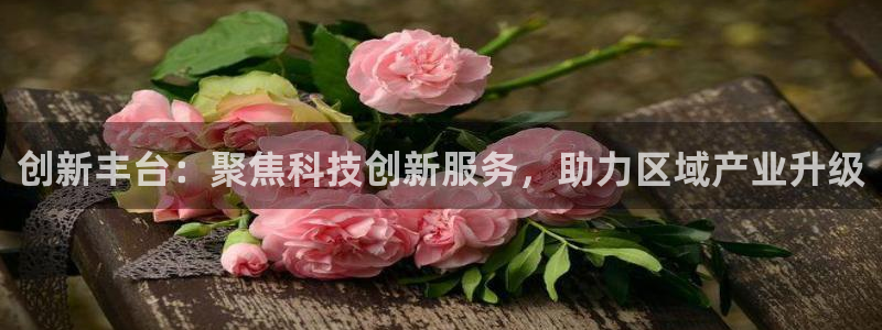 cq9电子黑豹：创新丰台：聚焦科技创新服务，助力区域产业升级