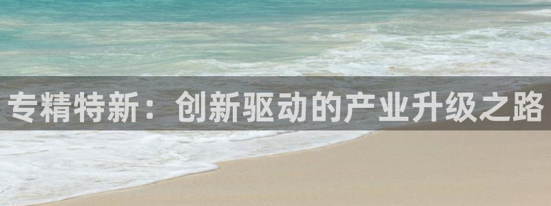 cq9电子血之吻：专精特新：创新驱动的产业升级之路