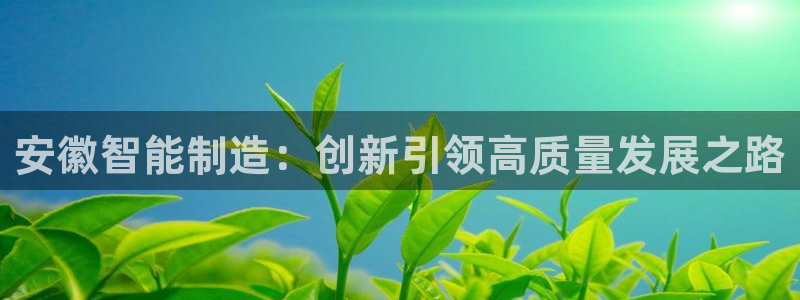 cq9电子游艺高爆平台：安徽智能制造：创新引领高质量发展之路