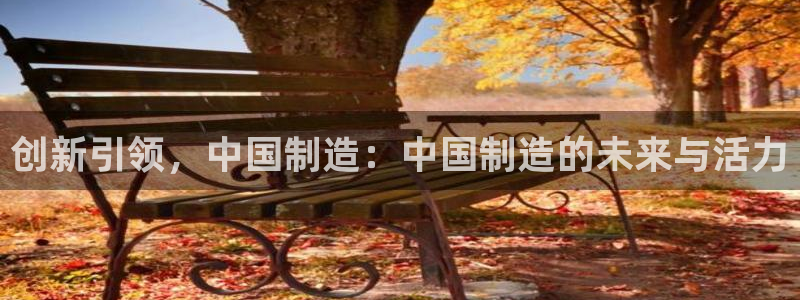 CQ9电子游戏极速旋转：创新引领，中国制造：中国制造的未来与