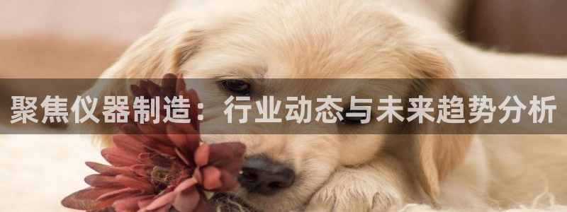 cq9传奇电子电玩：聚焦仪器制造：行业动态与未来趋势分析