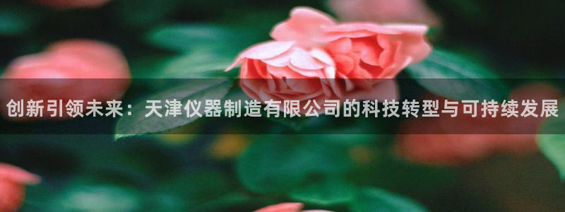 cq9电子正版平台：创新引领未来：天津仪器制造有限公司的科技