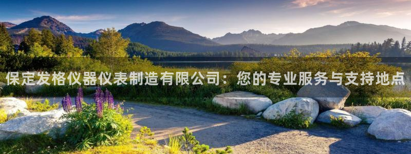 cq9电子游戏窍门：保定发格仪器仪表制造有限公司：您的专业服