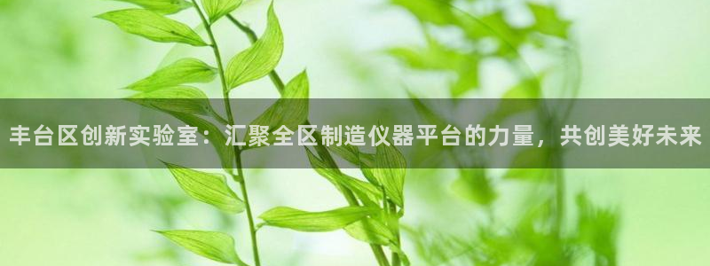 cq9电子游戏在线：丰台区创新实验室：汇聚全区制造仪器平台的